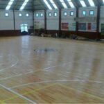 Ascenso a Liga de Honor Oro suspendido